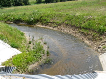 The river Perseke near its mouth