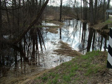 Река Пилве весной у деревни Мажосёс Семажишкес