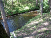 The river Ratnycia at Druskininkai town
