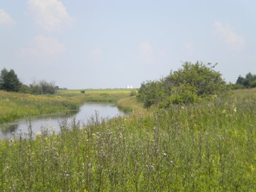 Река Шяймяна недалеко от устья