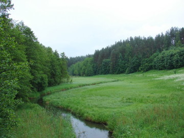 Река Сейра у деревни Джюгининкай
