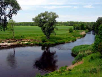 Река Шяшупе у деревни Пускелняй