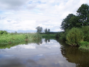 Река Шяшупе у г. Пилвишкяй