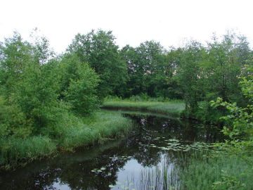 The river Sesuva at Uzusaliai village