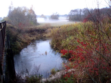 Река Шяшувис у деревни Ижинишкяй
