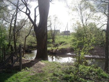 Река Ширвинта у деревни Алвитас