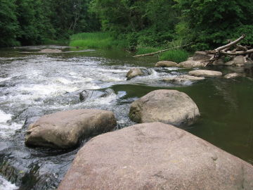 The river Siesartis near its mouth