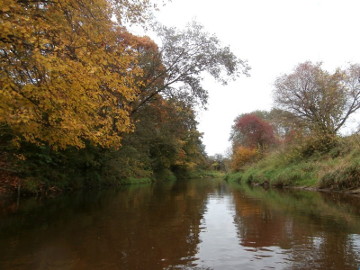 The river Sirvinta at Liukonys village