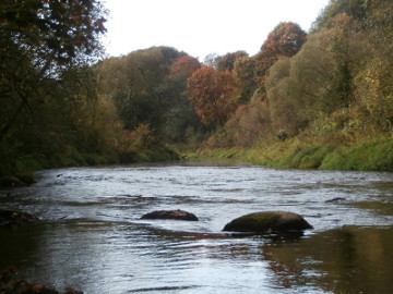 Rapids in the river Sirvinta