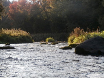 The river Sirvinta at Maskoliskiai village