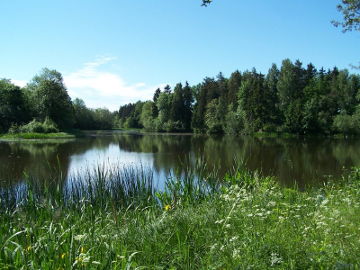 The river Sruoja. The Alsedziai pond