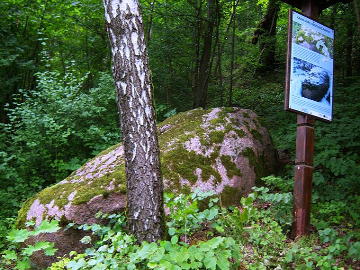 Lašinių akmuo netoli Strėvos.Foto:Vilensija