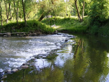 Small rapid in the river Streva