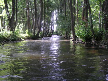 The river Streva