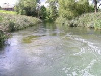 The river Streva