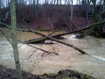Winter flood in the river Sunija