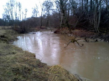 Flood in the river Sunija