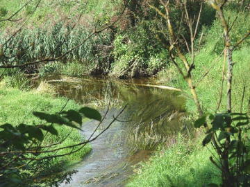The river Tatula near its mouth