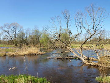 The river Vadakstis at Murnijieni village