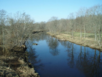 The river Vadakstis at Buknaiciai village