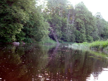 The river Vadakstis at Sustupe village