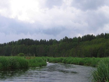 The river Varene at the lake Varenis