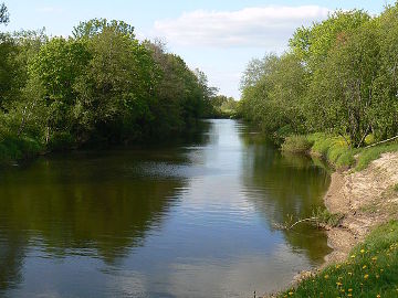 Река Вейвиржас 0,2 км от устья
