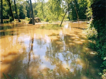 The river Verkne at Babroniai village. Flood