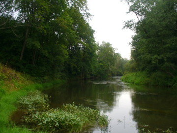 Река Вяркне у деревни Баброняй