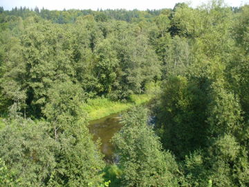 The river Verkne at Ginkus hill