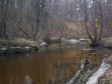 The river Verseka near its mouth