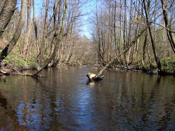 The river Verseka downstream the Eisiskes pond