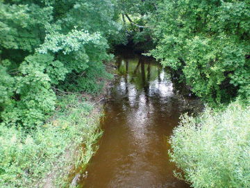 The river Vidauja at Naujininkeliai village