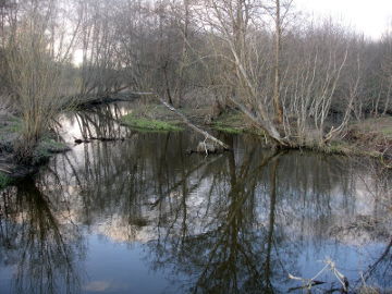 The river Vilka at Anuziai village