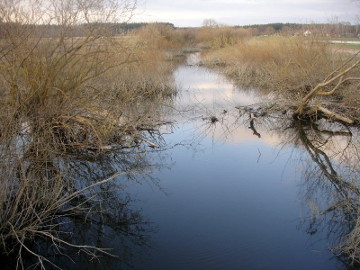 Река Вилка у д. Шилгаляй. Половодье