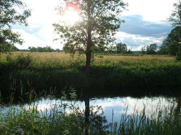 The river Merkys at Rudninkai village