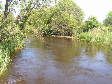 The river Voke at Juodoji Voke village
