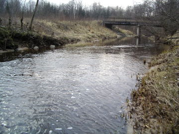 The bridge over the river Zvelsa at 7.9 km
