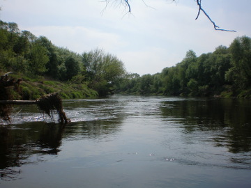 The river Nevezis between Paobelys and Pasiliai villages