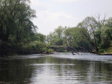 The river Nevezis