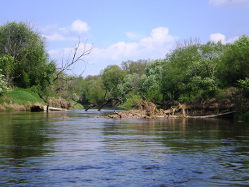 Река Нявежис у д. Пашиляй