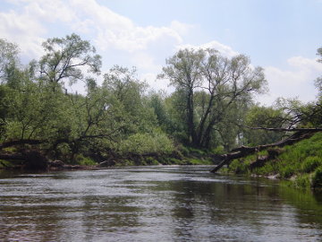 The river Nevezis at Pasiliai village