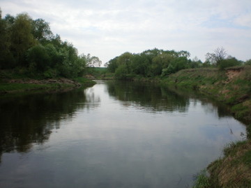 Река Нявежис у д. Дасюнай