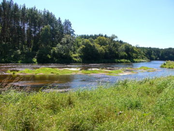Река Швянтойи у деревни Вепряй